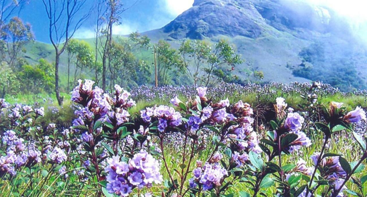 Seven Springs Resort Munnar Eksteriør billede